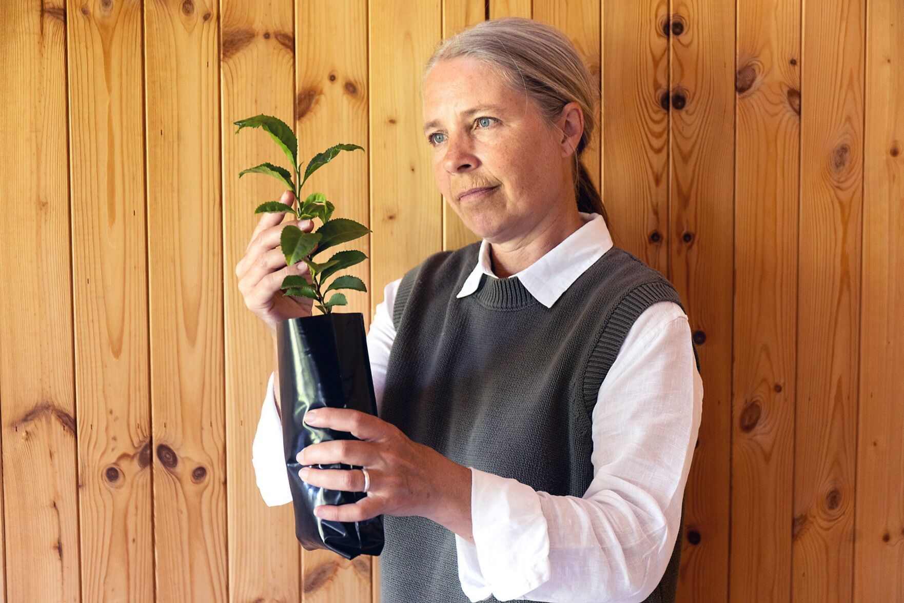 Scientists are using plants from Devon to test whether it is possible to grow tea in space